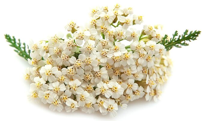 Gelarex съдържа хиляда листа